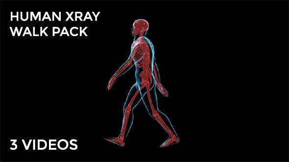 Human Walk Xray Pack - 18814093 Download Videohive