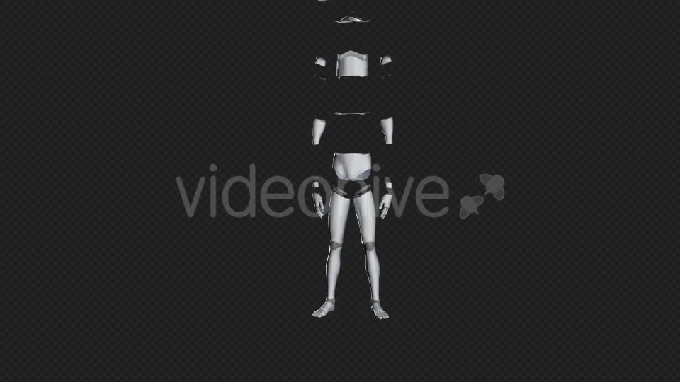 Humanoid Robot Videohive 19356290 Motion Graphics Image 3