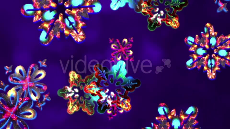 Ice Flower Videohive 21027327 Motion Graphics Image 2