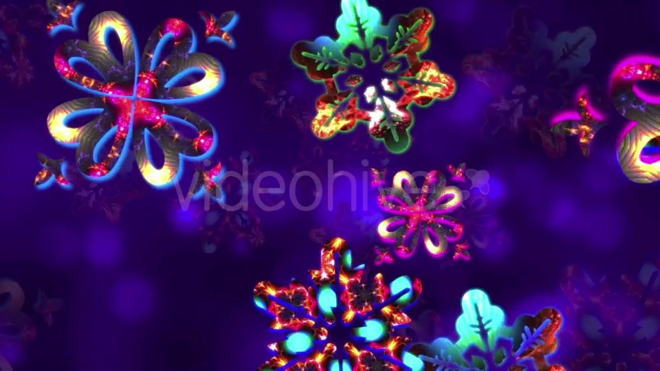 Ice Flower Videohive 21027327 Motion Graphics Image 5