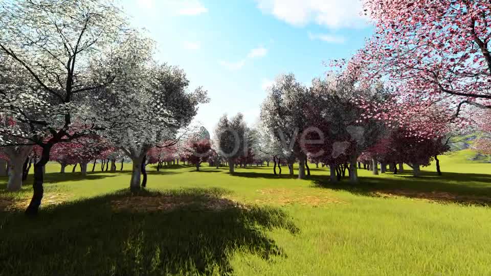 In Garden Videohive 21288241 Motion Graphics Image 1