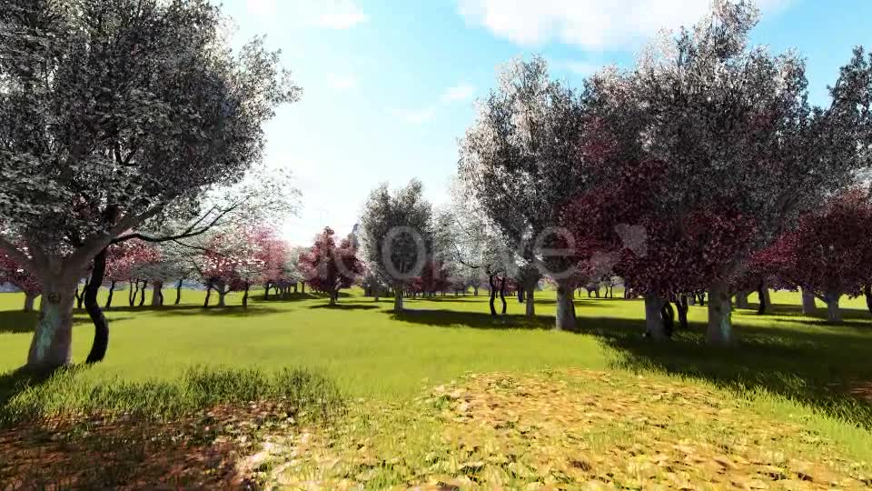 In Garden Videohive 21288241 Motion Graphics Image 2