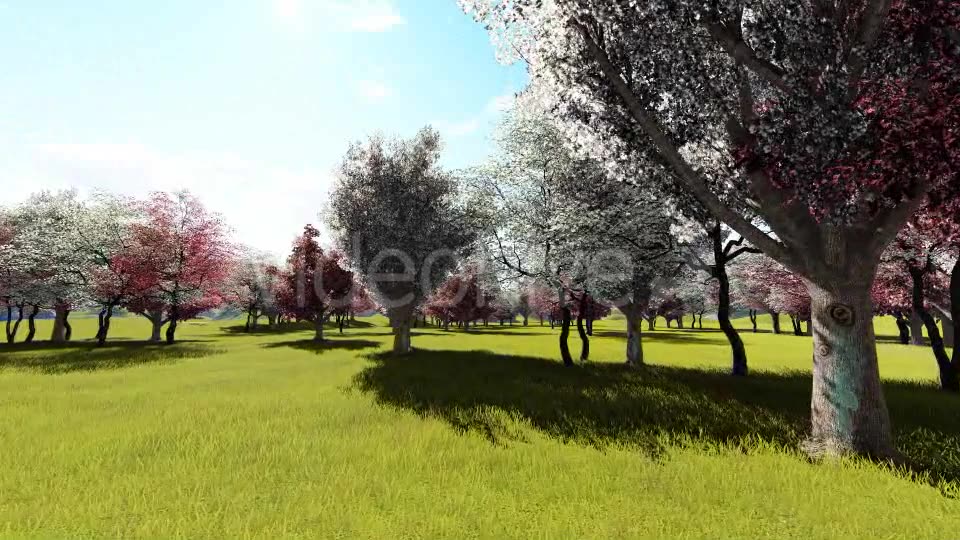 In Garden Videohive 21288241 Motion Graphics Image 3