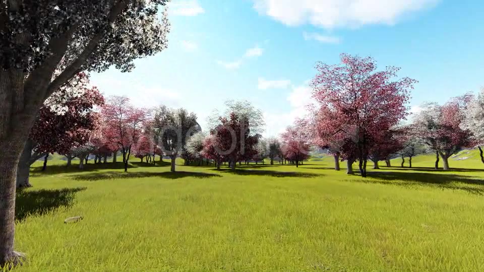 In Garden Videohive 21288241 Motion Graphics Image 5