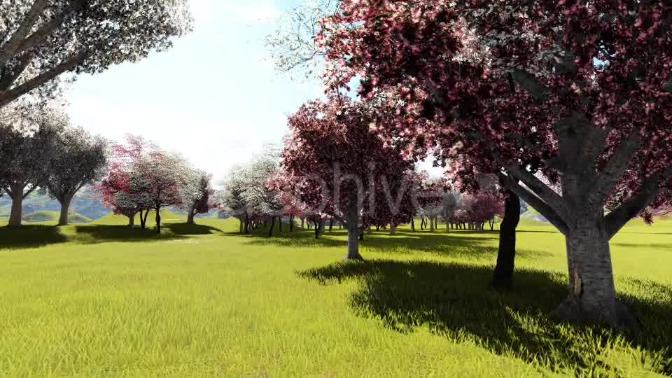 In Garden Videohive 21288241 Motion Graphics Image 8