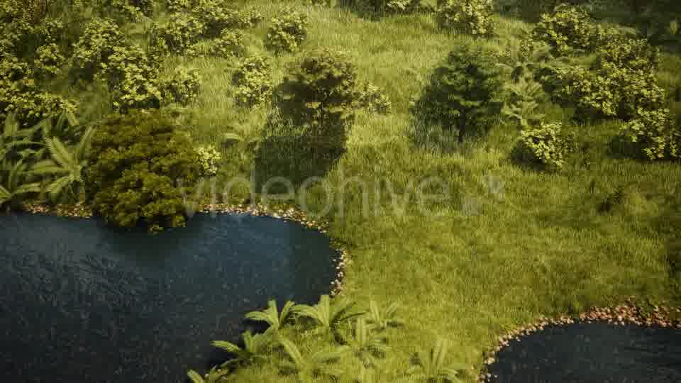 In The Forest Videohive 19426721 Motion Graphics Image 11