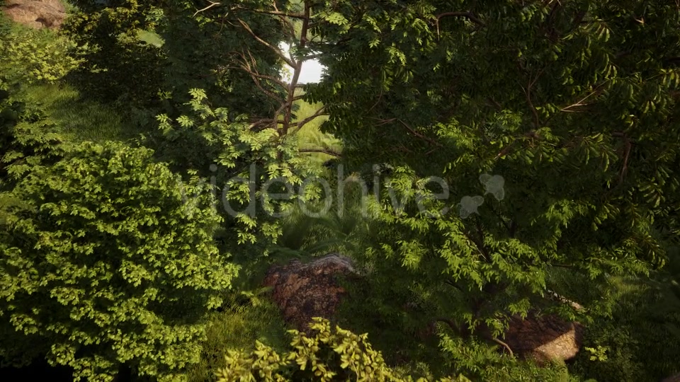 In The Forest Videohive 19426721 Motion Graphics Image 3