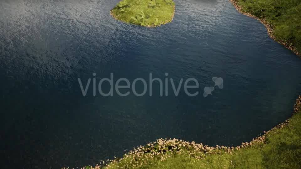 In The Forest Videohive 19426721 Motion Graphics Image 8