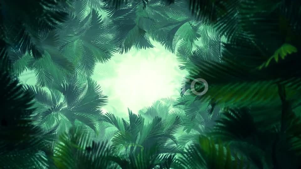 In The Jungle Palms 02 4K Videohive 23277099 Motion Graphics Image 1