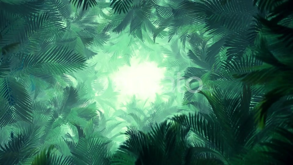In The Jungle Palms 02 4K Videohive 23277099 Motion Graphics Image 3