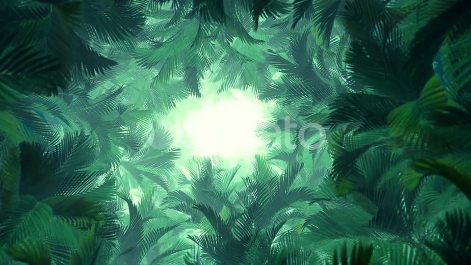 In The Jungle Palms 02 4K Videohive 23277099 Motion Graphics Image 4