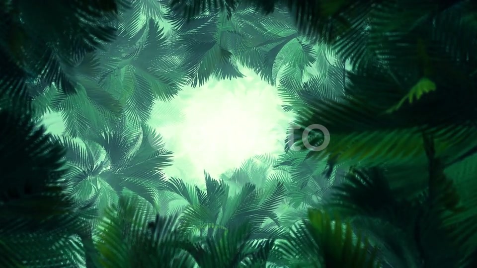 In The Jungle Palms 02 4K Videohive 23277099 Motion Graphics Image 6