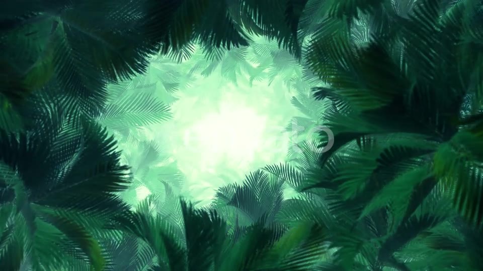 In The Jungle Palms 02 4K Videohive 23277099 Motion Graphics Image 7