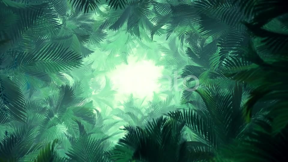 In The Jungle Palms 02 4K Videohive 23277099 Motion Graphics Image 8