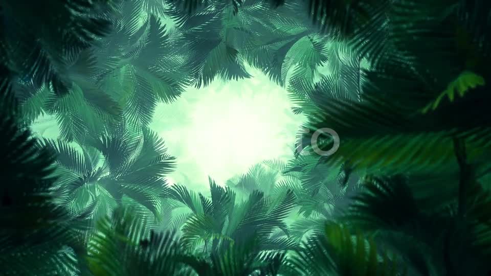 In The Jungle Palms 02 HD Videohive 23274777 Motion Graphics Image 1