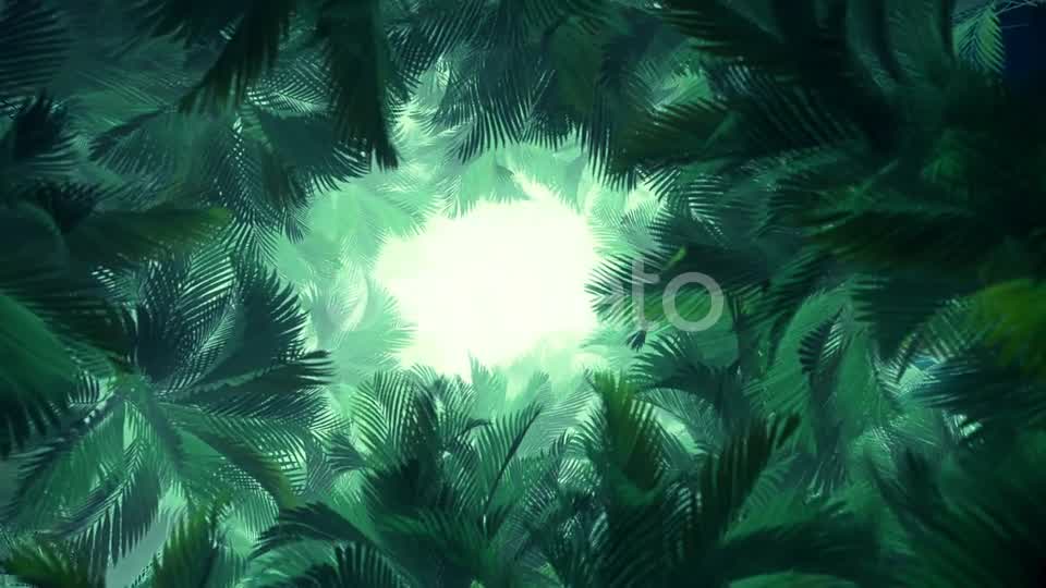 In The Jungle Palms 02 HD Videohive 23274777 Motion Graphics Image 10