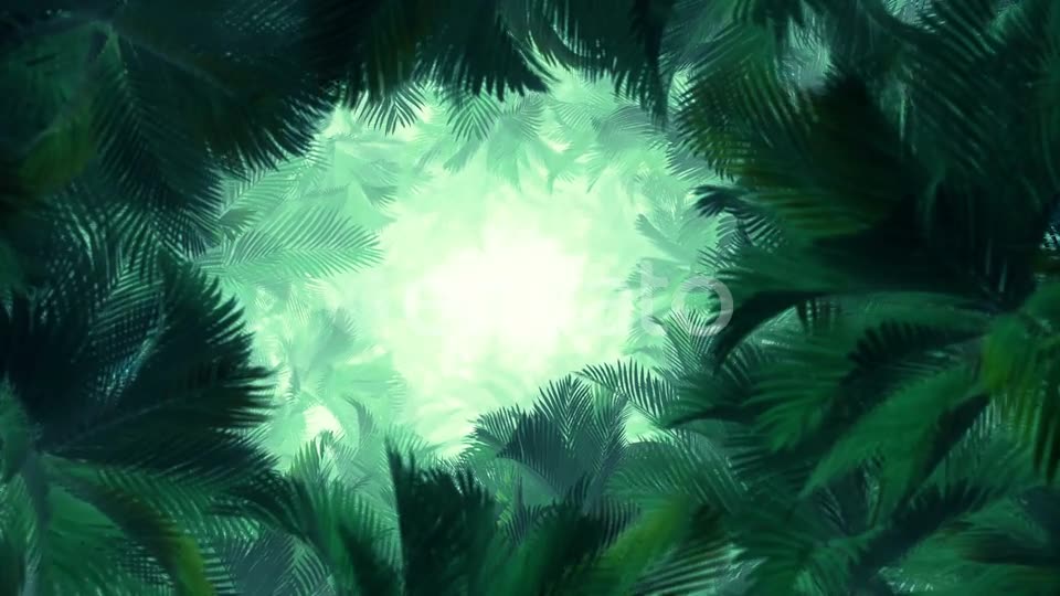 In The Jungle Palms 02 HD Videohive 23274777 Motion Graphics Image 2