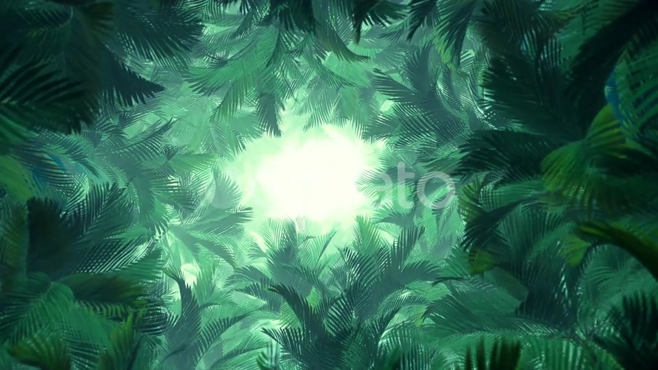 In The Jungle Palms 02 HD Videohive 23274777 Motion Graphics Image 4