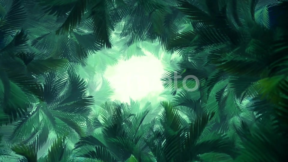 In The Jungle Palms 02 HD Videohive 23274777 Motion Graphics Image 5