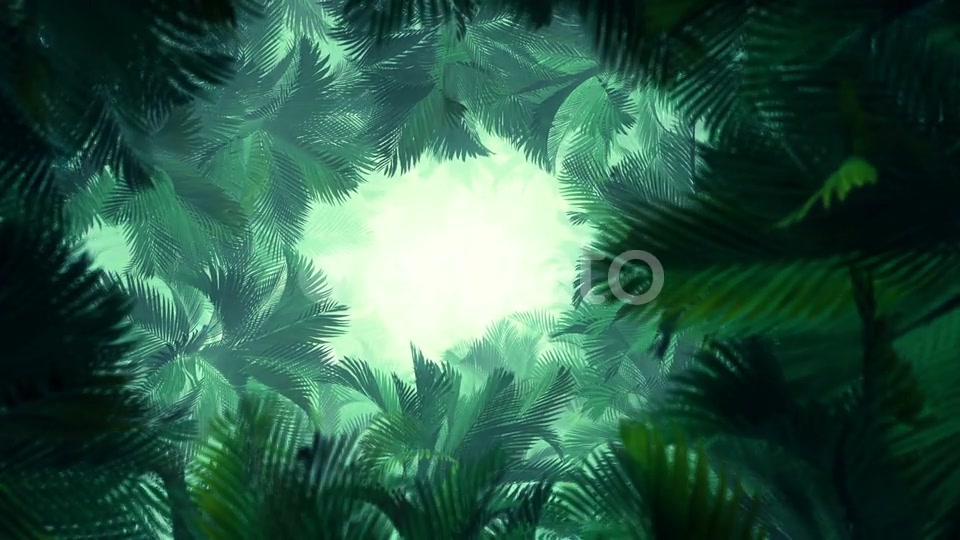 In The Jungle Palms 02 HD Videohive 23274777 Motion Graphics Image 6