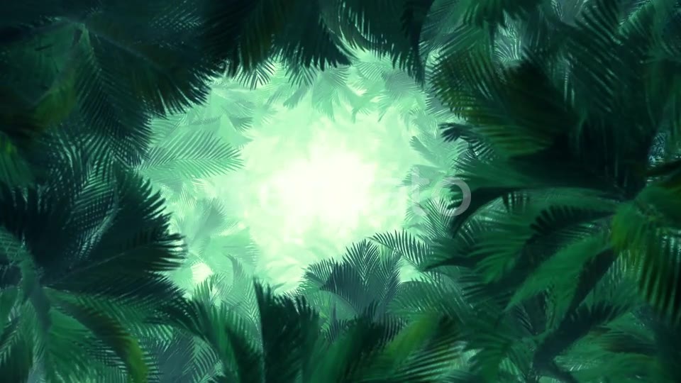 In The Jungle Palms 02 HD Videohive 23274777 Motion Graphics Image 7