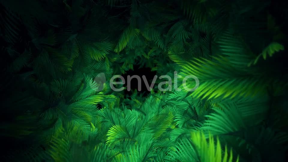 In The Jungle Palms 03 4K Videohive 23304840 Motion Graphics Image 1