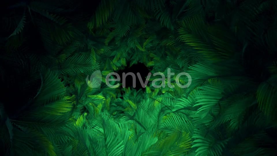 In The Jungle Palms 03 4K Videohive 23304840 Motion Graphics Image 2