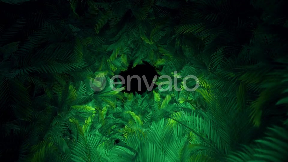 In The Jungle Palms 03 4K Videohive 23304840 Motion Graphics Image 3
