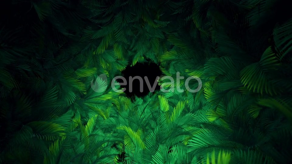 In The Jungle Palms 03 4K Videohive 23304840 Motion Graphics Image 4