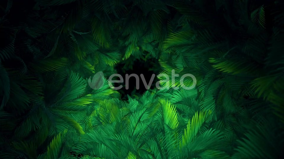 In The Jungle Palms 03 4K Videohive 23304840 Motion Graphics Image 5