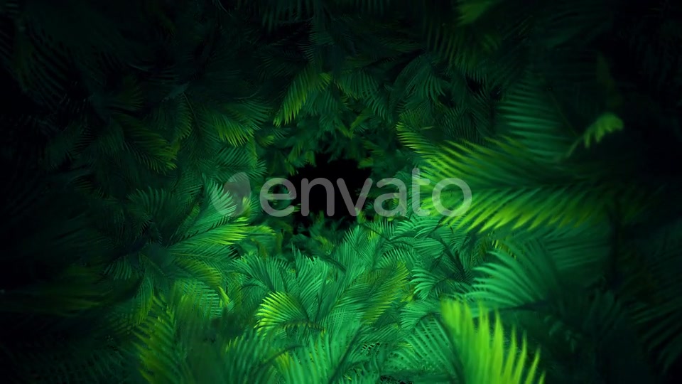 In The Jungle Palms 03 4K Videohive 23304840 Motion Graphics Image 6
