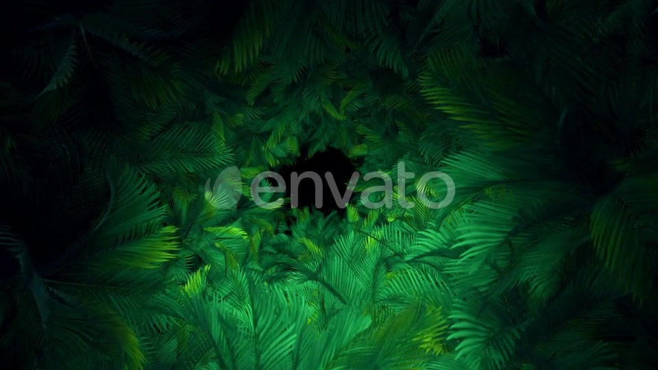 In The Jungle Palms 03 4K Videohive 23304840 Motion Graphics Image 7