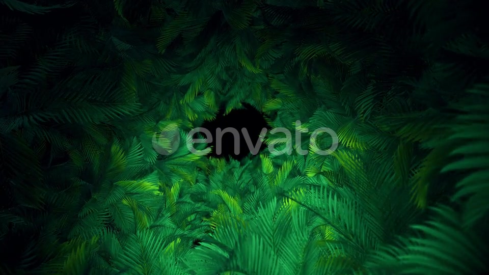 In The Jungle Palms 03 4K Videohive 23304840 Motion Graphics Image 8