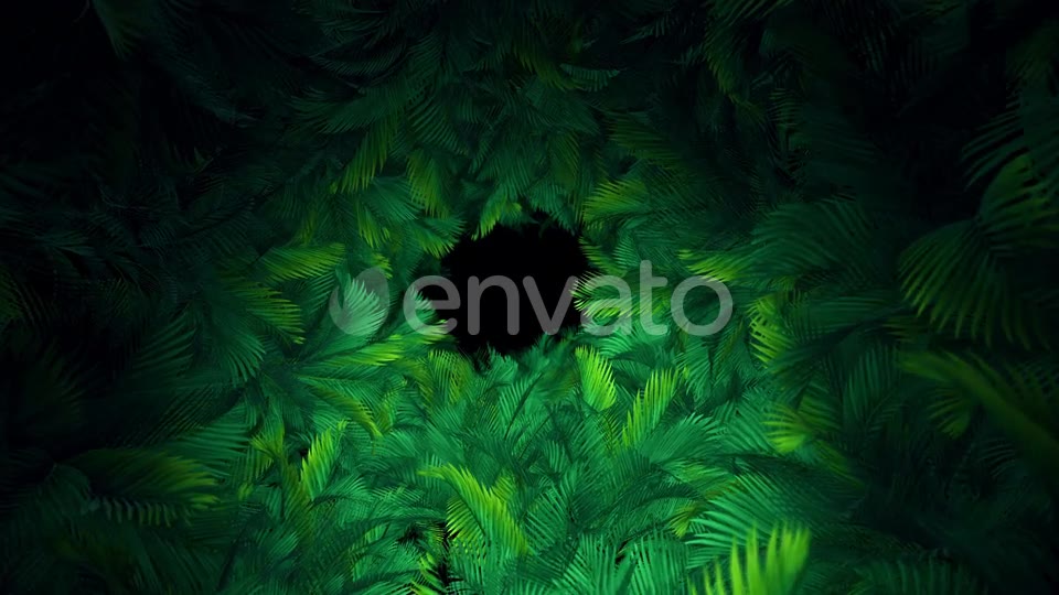 In The Jungle Palms 03 4K Videohive 23304840 Motion Graphics Image 9