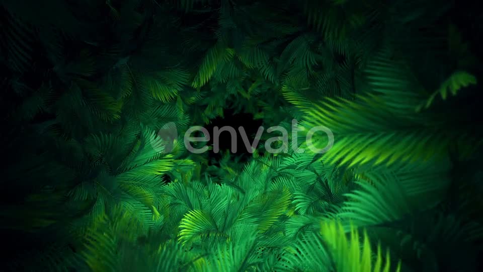 In The Jungle Palms 03 HD Videohive 23292833 Motion Graphics Image 1