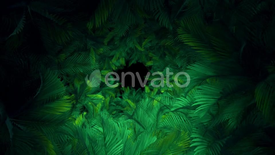 In The Jungle Palms 03 HD Videohive 23292833 Motion Graphics Image 2