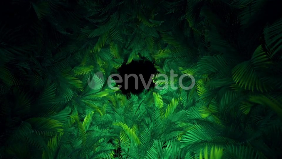 In The Jungle Palms 03 HD Videohive 23292833 Motion Graphics Image 4