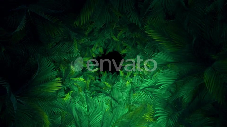 In The Jungle Palms 03 HD Videohive 23292833 Motion Graphics Image 7