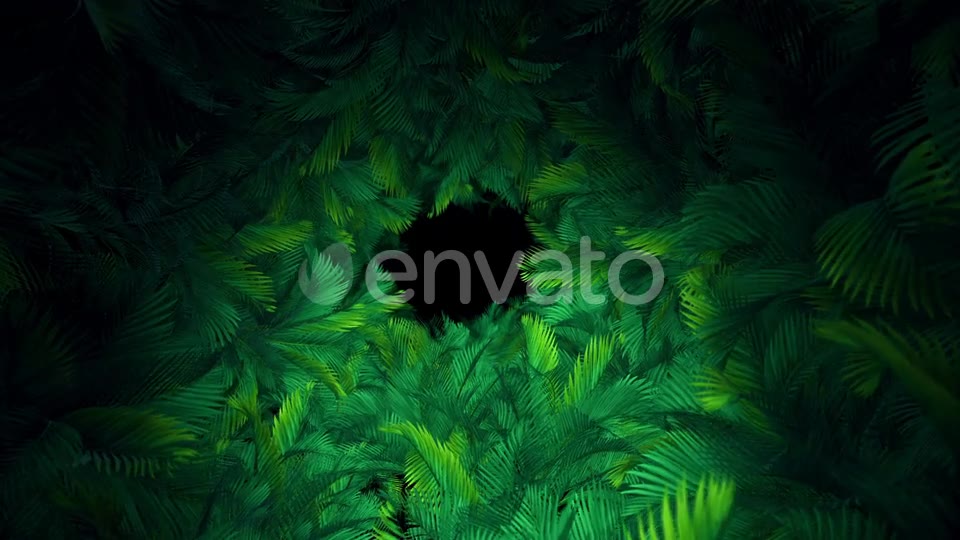 In The Jungle Palms 03 HD Videohive 23292833 Motion Graphics Image 9