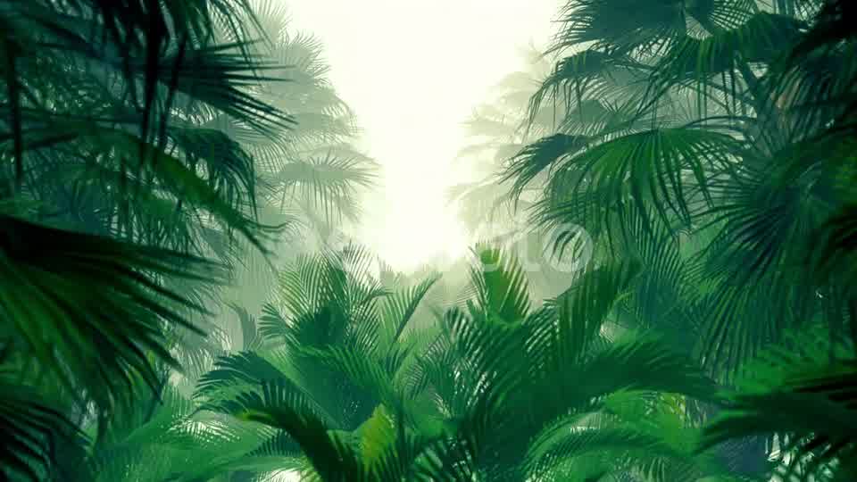 In The Jungle Palms 4K Videohive 23271793 Motion Graphics Image 10