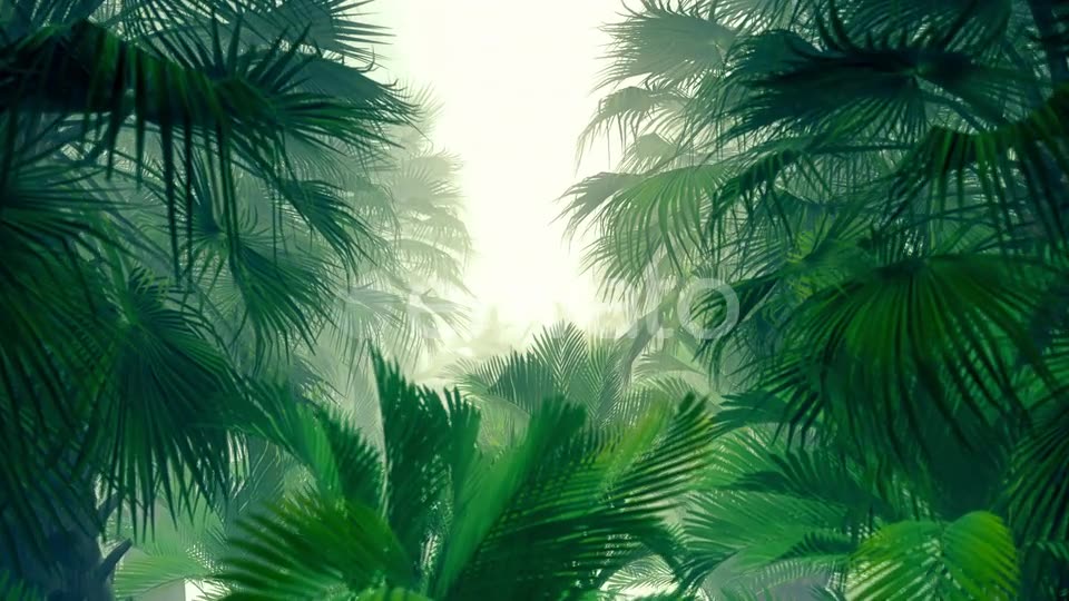 In The Jungle Palms 4K Videohive 23271793 Motion Graphics Image 2