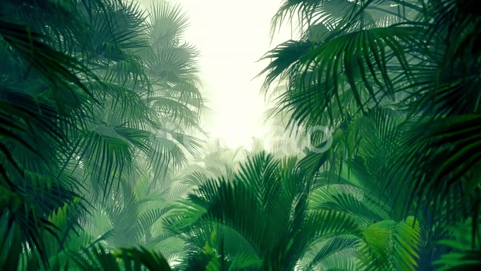 In The Jungle Palms 4K Videohive 23271793 Motion Graphics Image 3