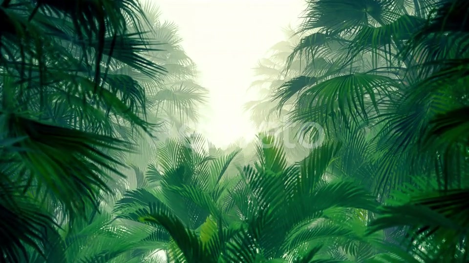 In The Jungle Palms 4K Videohive 23271793 Motion Graphics Image 5