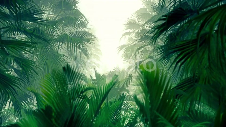 In The Jungle Palms 4K Videohive 23271793 Motion Graphics Image 6