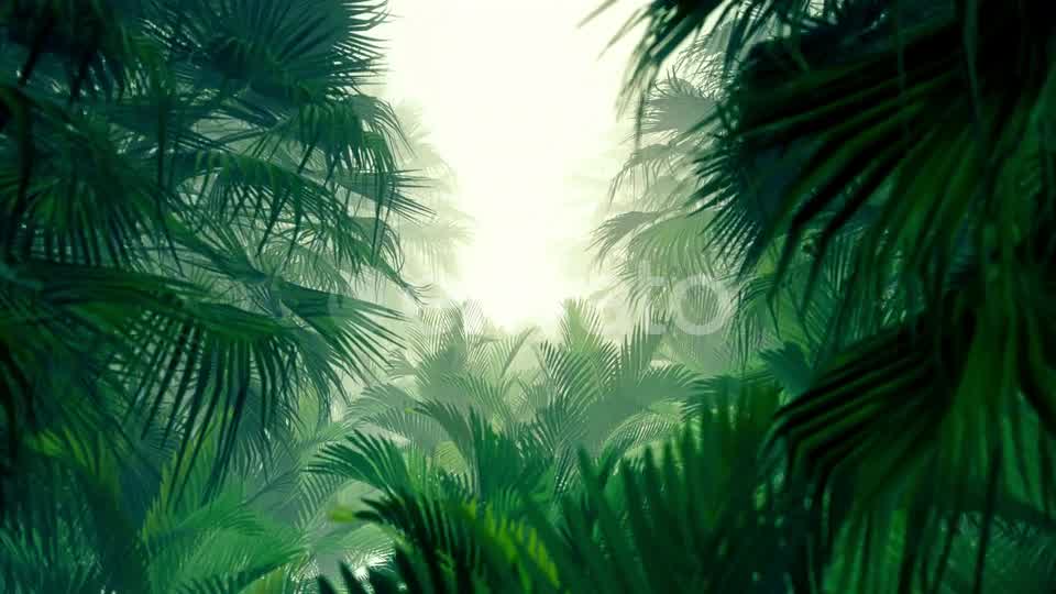 In The Jungle Palms 4K Videohive 23271793 Motion Graphics Image 9