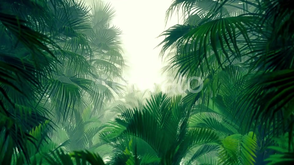 In The Jungle Palms HD Videohive 23270347 Motion Graphics Image 3