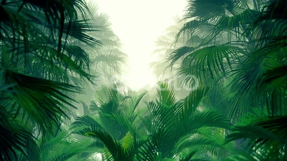 In The Jungle Palms HD Videohive 23270347 Motion Graphics Image 5