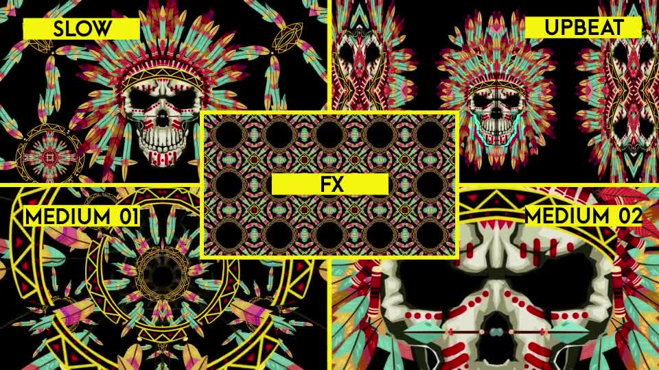 Indian Skull Videohive 21508339 Motion Graphics Image 1