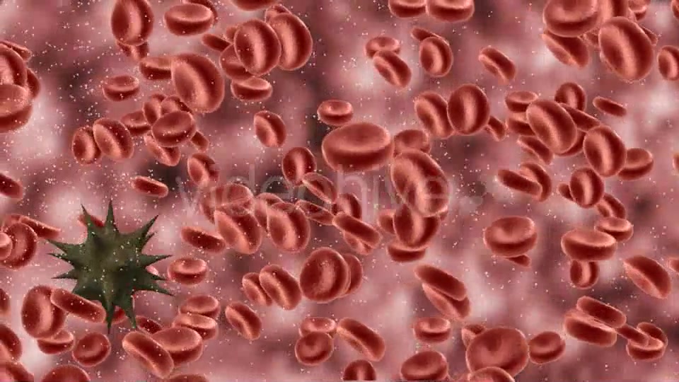 Influenza Virus Particle Surrounded Blood Cells Videohive 9802617 Motion Graphics Image 3