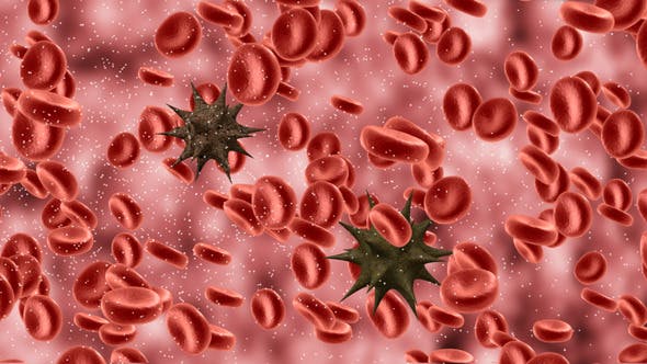 Influenza Virus Particle Surrounded Blood Cells - Download 9802617 Videohive